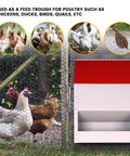 Heavy Duty Galvanized Wall Mount Chicken Feeder Designed To Kickstart Your Flock With A Secure Tilt Lid next to chickens.