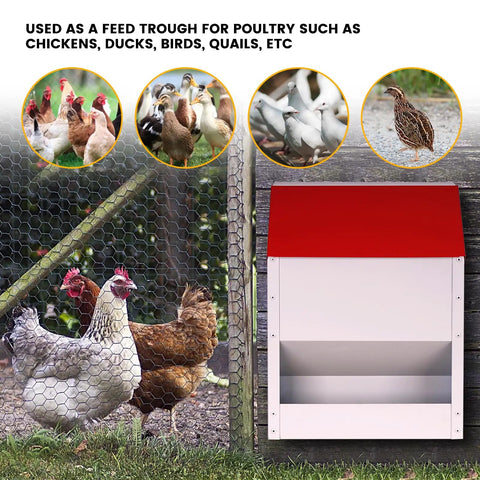 Heavy Duty Galvanized Wall Mount Chicken Feeder Designed To Kickstart Your Flock With A Secure Tilt Lid next to chickens.