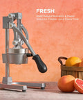 Manual Citrus Juicer Heavy Duty Cast Iron Press With Removable Strainer For Oranges Lemons Grapefruit And Pomegranate Commercial Grade Hand Press For Home Bar Use Gray on a countertop