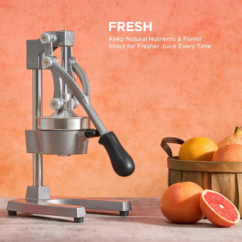 Manual Citrus Juicer Heavy Duty Cast Iron Press With Removable Strainer For Oranges Lemons Grapefruit And Pomegranate Commercial Grade Hand Press For Home Bar Use Gray on a countertop