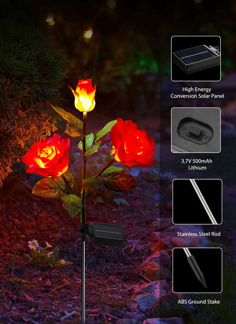 Dope 4 Pack Solar LED Rose Lights With Realistic Blooming Roses Bigger Solar Panel Waterproof Stakes Adjustable Stems at night.