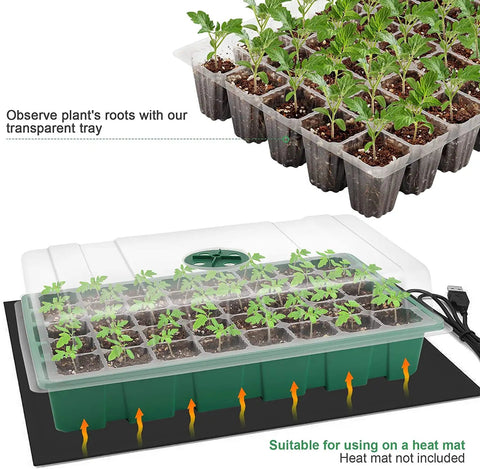 Seed Starter Tray 5 Pack Seedling Propagator Kit With Humidity Vented Domes And Base For Seed Starting 40 Cells Per Tray Total 200 Cells Greenhouse Grow Kit with transparent trays showing plant roots.