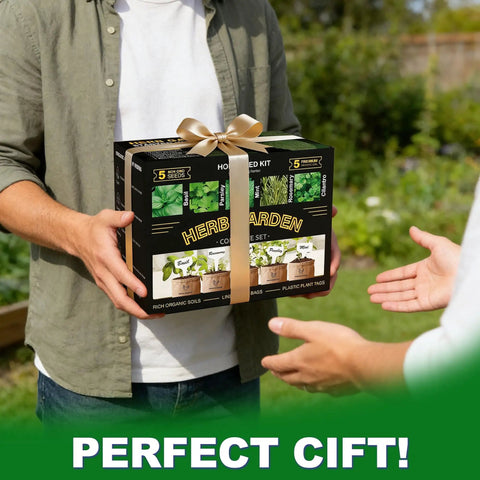 Person holding Five Herb Indoor Starter Kit For Kitchen Garden Complete Planting Set With Planter Bags, Markers, Soil Disks