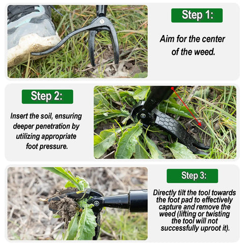 Steps for using 58-Inch Stand Up Weed Puller Tool With Long Handle 2-In-1 Manual Weeder And Garden Hoe With 4-Claw Steel Head for Easy Root Removal