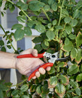 Hand using Max Forged Aluminum Bypass Pruner for 1 inch cut capacity with replaceable steel blade to trim thick branches.
