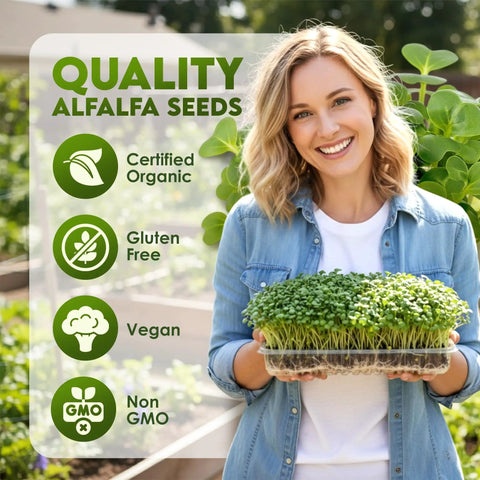 Smiling woman holding a tray of fresh sprouts with text highlighting organic, gluten-free, vegan, and non-GMO quality alfalfa seeds.