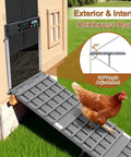 Chicken using adjustable ramp with waterproof non-slip design at coop door, 180° angle adjustment visible