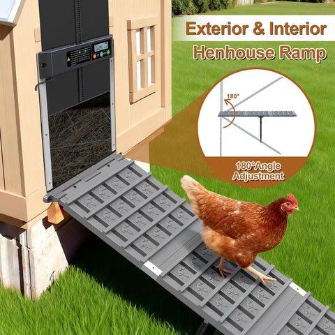 Chicken using adjustable ramp with waterproof non-slip design at coop door, 180° angle adjustment visible