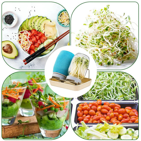 All In One Sprouting Jar Kit With 2 Wide Mouth Mason Jars Mesh Lids Blackout Sleeves Stand And Tray for Home Sprouting in center