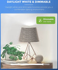 Smart A19 LED Bulb With WiFi Works With Alexa Google Home And Siri Daylight 5000K 850LM 9W 60W Equivalent Dimmable Voice Control