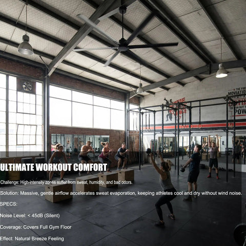 100 Inch HVLS Industrial Ceiling Fan With Quiet 90W DC Motor installed in a gym, providing ultra cool airflow for workouts.