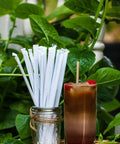 Agave Fiber Straws 1000 Count Individually Wrapped 8.2 Inch Biodegradable Eco Friendly Plant Based Reusable Alternative To Paper And Plastic Straws For Everyday Kitchen And Bar Use in jar beside drink