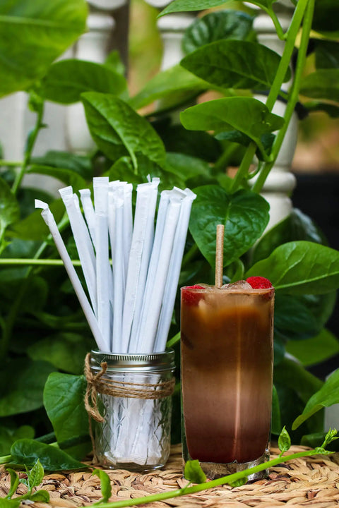 Agave Fiber Straws 1000 Count Individually Wrapped 8.2 Inch Biodegradable Eco Friendly Plant Based Reusable Alternative To Paper And Plastic Straws For Everyday Kitchen And Bar Use in jar beside drink