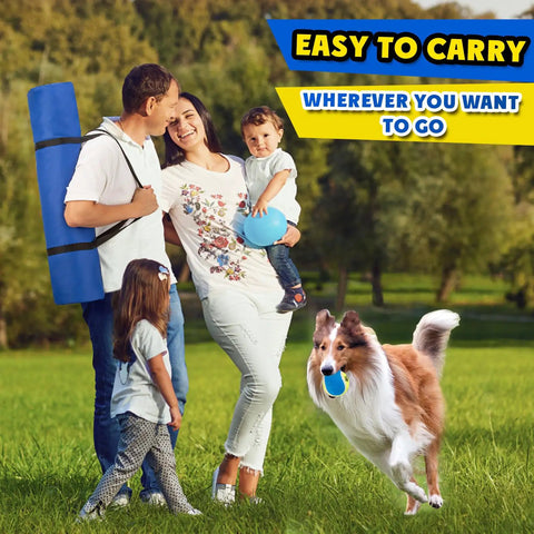 Family and dog in park with Backyard Dog Agility Course Set All In One Obstacle Kit With Pro Grade Hurdles Jump Ring 8 Weave Poles