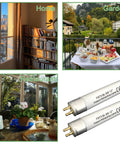 Collage of settings using 12 Inch F8T5 Black Light Blue Replacement Bulbs 365 To 368nm T5 Linear UV Lamps, home, garden, and restaurant