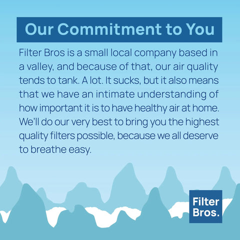 Filter Bros commitment to air quality with mountain illustration and company logo
