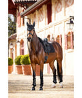 Horse wearing Merino Plus Half Lined Suede Dressage Square With Hidden Inner Girth Loops For Custom Back Shape Black On Black No Rub Comfort Ride
