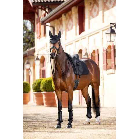 Horse wearing Merino Plus Half Lined Suede Dressage Square With Hidden Inner Girth Loops For Custom Back Shape Black On Black No Rub Comfort Ride