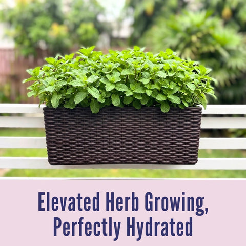 Outdoor Rail Planter For Balcony 20 Inch Two Pack With Rattan Pattern Design Drainage Holes And Brackets For Easy Hanging Weather Resistant Box Fence Flower Planter on railing with herbs.