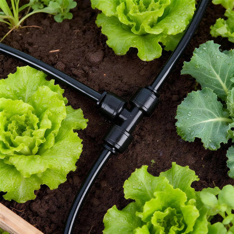 Thirty Piece Quick Connect Drip Irrigation Tee Fittings Kit For One Quarter Inch Tubing in garden setup with lettuce