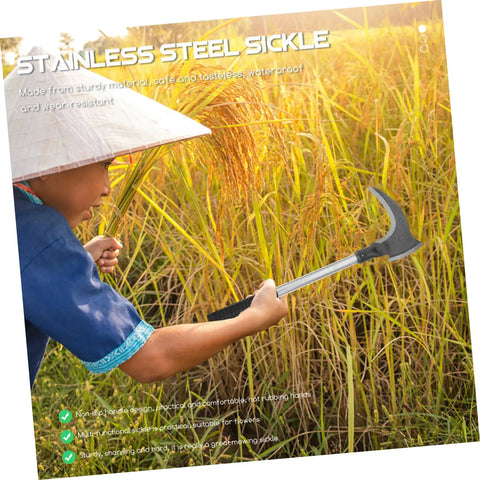 Person using Long Handle Garden Sickle for weeding with manganese steel blade and wooden handle in a rice field.