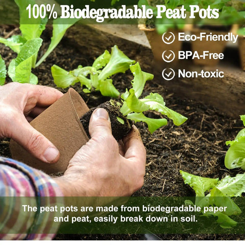 Person planting seedlings in biodegradable seedling pots 120 pack 3.15 inch with 30 plant labels for gardens
