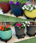 6 Pack Heavy Duty Plant Caddies With Wheels, Smooth Rolling Plant Dollies For Indoor Outdoor Potted Plants, Sturdy Black Plastic Saucers With Glide Casters displayed with colorful flower pots.