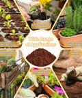 Montage of uses for 200 Pcs 30mm Organic Coconut Coir Seed Starter Pellets with images of planting applications and coconut coir.