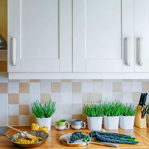 Kitchen cabinets with 60 Pack 3.75 Inch Square Cabinet Handles In Satin Nickel Brushed Nickel Finish, with green plants below.