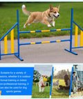 Dog jumps over adjustable wing jump hurdles for dog agility training, metal frame bar jumps, indoor outdoor course with stable support