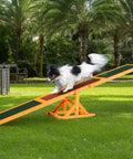 Dog running on 71 Inch Wooden Dog Agility Seesaw For Training And Exercise Outdoor Obstacle Courses Pro Grade Dope Fir Wood Ramp