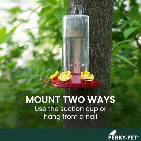 Hummingbird feeder mounted outdoors with three yellow feeding ports and red base, window mount hummingbird feeder with perches, 8 oz nectar capacity, three feeding ports, no fuss suction cup mount for outdoors, bee resistant, easy to clean and bird watching ready.