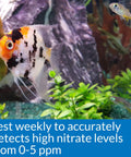 No Fuss Nitrite Test Kit For Freshwater And Saltwater Aquariums Delivers 180 Quick Checks with fish in a vibrant aquarium setting.