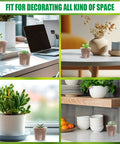 Various indoor spaces with decor including small nursery pots and plants, showcasing the Clear 2.5 Inch Nursery Pots Set Of 50 With Drainage Holes Durable Plastic Seed Starter Pots For Seedlings Veggies And Flowers Translucent Plant Pots For Easy Root Observation Great Gardening Gift.
