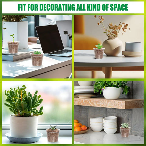 Various indoor spaces with decor including small nursery pots and plants, showcasing the Clear 2.5 Inch Nursery Pots Set Of 50 With Drainage Holes Durable Plastic Seed Starter Pots For Seedlings Veggies And Flowers Translucent Plant Pots For Easy Root Observation Great Gardening Gift.