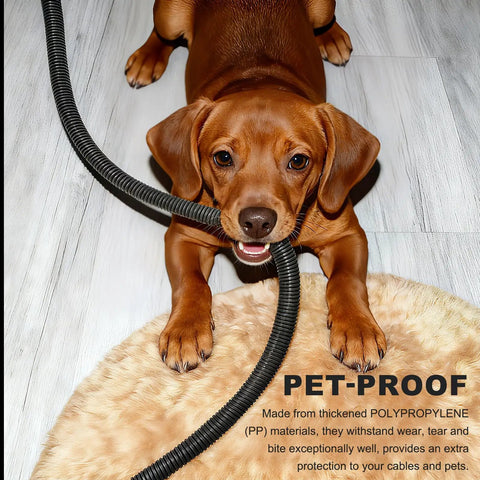 Complete Hella Flexible Split Wire Loom Tubing Kit With Two Heavy Duty Clamps For Easy Car Cable Management And Sweet Wiring Harness Protection Under Hood with a pet-proof hose and a dog.