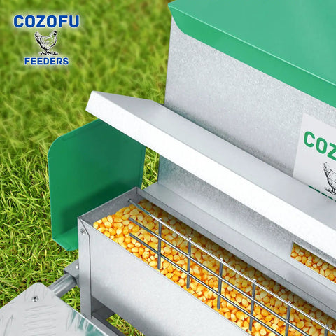 Backyard No Sweat Automatic Chicken Feeder With Forty Pound Capacity For Flocks Of Twelve Rat Proof Galvanized Steel filled with corn.