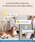 Dog lying in living room with Mini 360 Degree Pet Camera With 2K QHD Live Video Feed Rotating Treat Toss Two Way Audio.