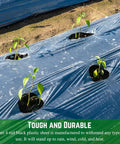 4 Mil Black Plastic Sheeting Roll 4 ft by 100 ft used as ground cover with plants growing, demonstrating moisture control and durability