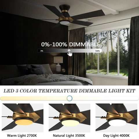 Lit Wifi Led Ceiling Fan With Remote And App Control, black and gold finish, dimmable LED light color options in modern room.