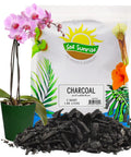 Hardwood Charcoal Soil Additive For Indoor Plants 2 Quarts bag next to orchid plant and charcoal pieces on table