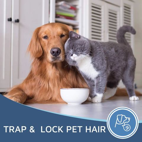 Golden retriever and gray cat beside a white bowl in a cozy room, pet hair trapping text overlay