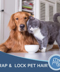 Golden retriever and gray cat sitting together with a white bowl, promoting pet hair removal.