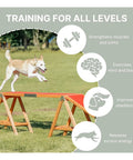 Dog using Agility Dog Walk Ramp With Color Coded Contact Zones for safe training and exercise outdoors on grass.