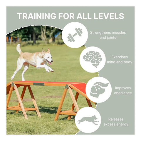 Dog using Agility Dog Walk Ramp With Color Coded Contact Zones for safe training and exercise outdoors on grass.