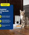 Smooth Operator Two Meal Automatic Pet Feeder With Dial Timer For Dogs And Cats, gray feeder with a cat beside it, showing two compartments.