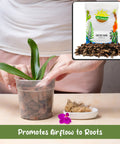 One Hundred Percent Organic Orchid Potting Bark Eight Quarts All Natural Pine Bark Mix Additive For Orchids And Epiphytes shown in use