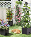 Garden scene with 2 Pack Tomato Planter With Trellis, 57 Inch Self Watering Raised Garden Bed Planter Box with plants and cat