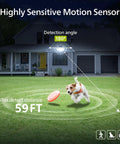 Big 3600 Lumen Solar Flood Lights With Separate Panel illuminating yard with dog, highlighting 180° detection angle and 59ft range.