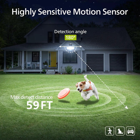Big 3600 Lumen Solar Flood Lights With Separate Panel illuminating yard with dog, highlighting 180° detection angle and 59ft range.